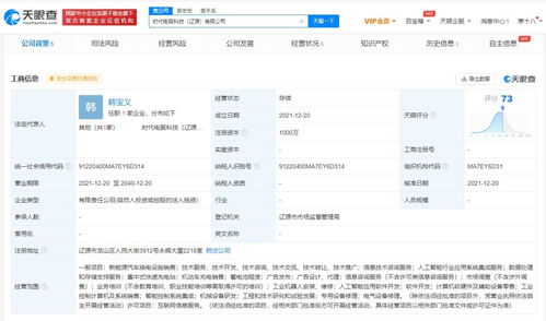 數據處理及存儲服務的核心價值與未來展望